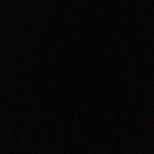 Meet your Posher, Gwendolyn